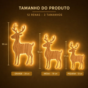 Renas Iluminadas - 12 Peças